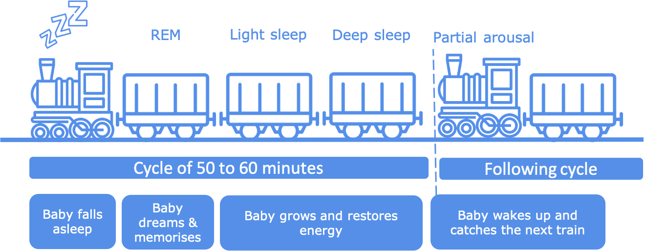 Sleep Myth 4 Your Baby Should Sleep Through The Night Dodo Coaching